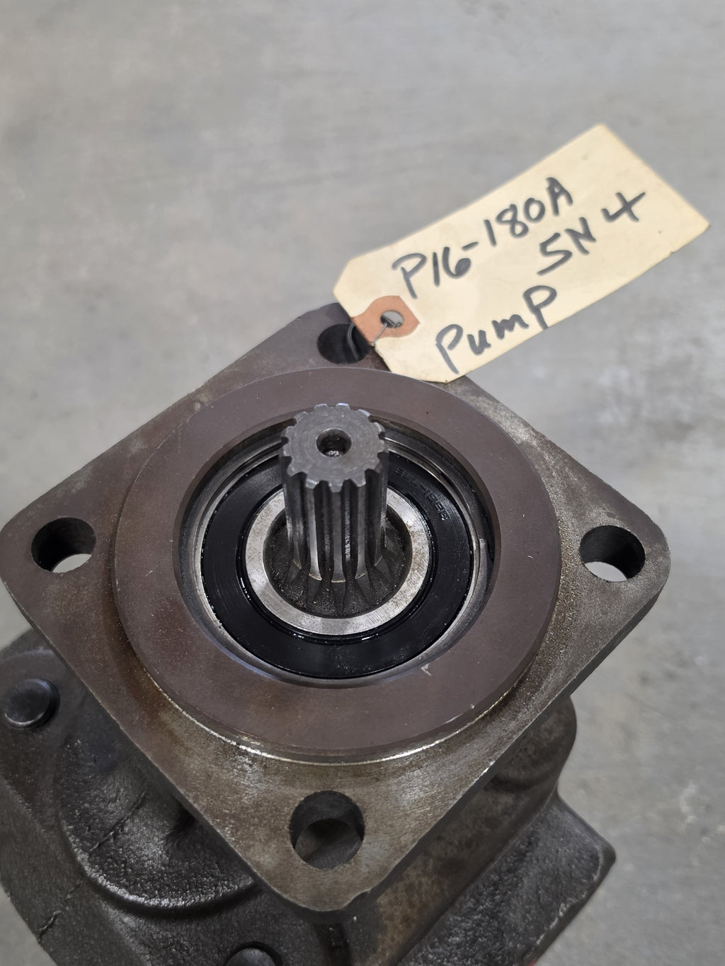 Parker Commercial Intertech M50A842BEY-25 Hydraulic Gear Motor 13T Spline