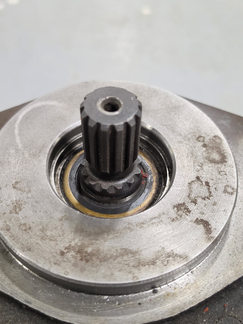 Parker Commercial Intertech 308-9113-258 Hydraulic Gear Pump 2.96 CI SAE B 13T