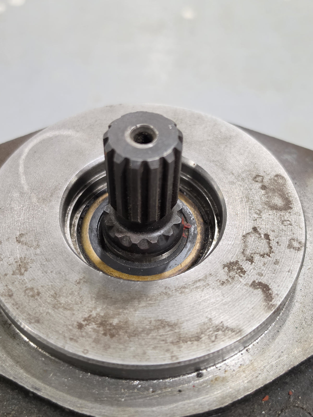 Parker Commercial Intertech 308-9113-258 Hydraulic Gear Pump 2.96 CI SAE B 13T
