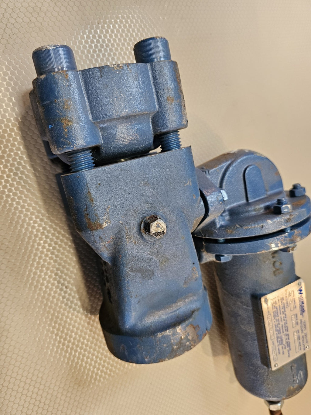 Wellmark Series 2001PR Pressure Regulator 1/2" 2HD-2B50s 
