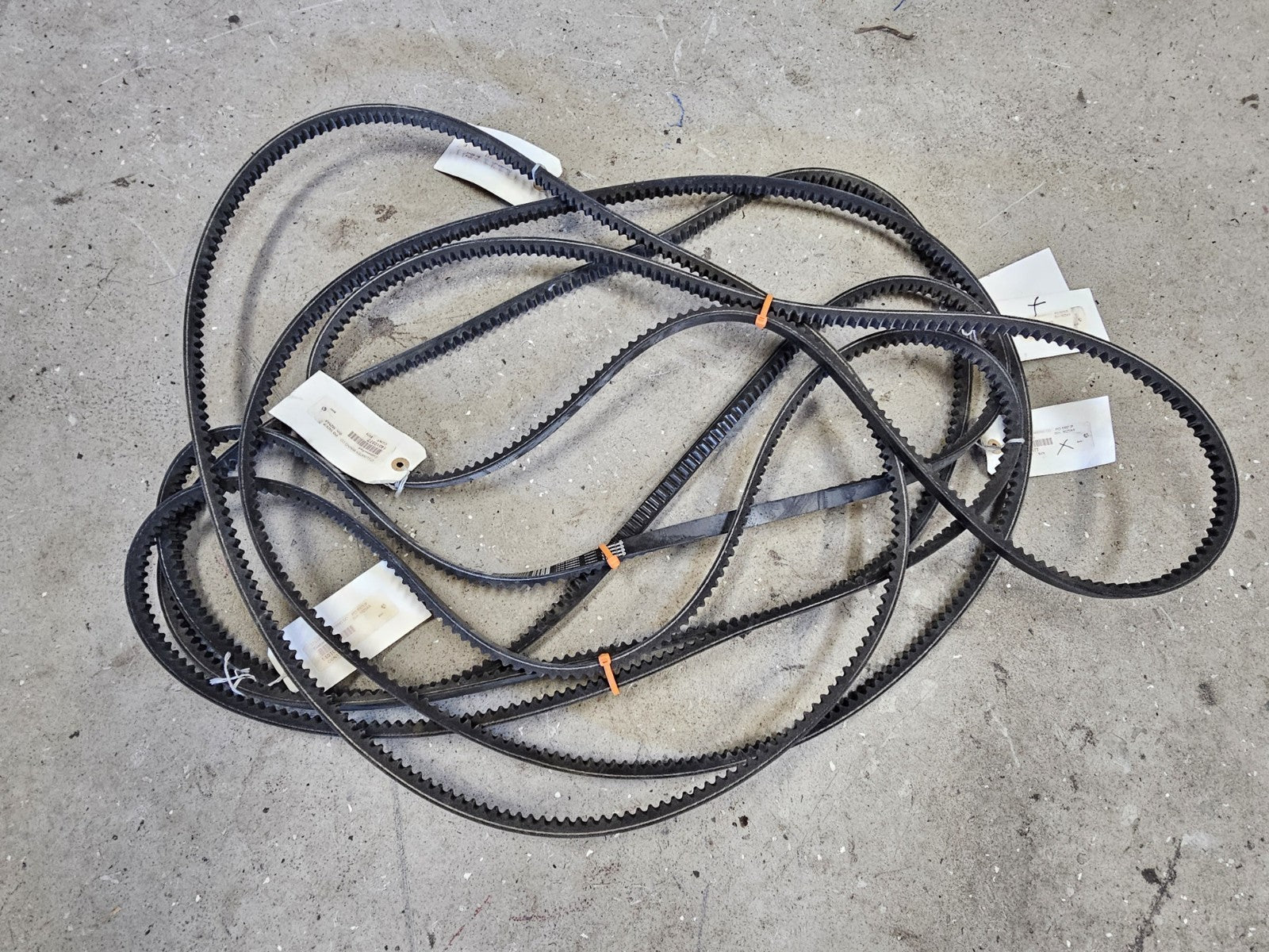 NEW OEM Continental Torque Flex BX70 Belt Lot of 6!