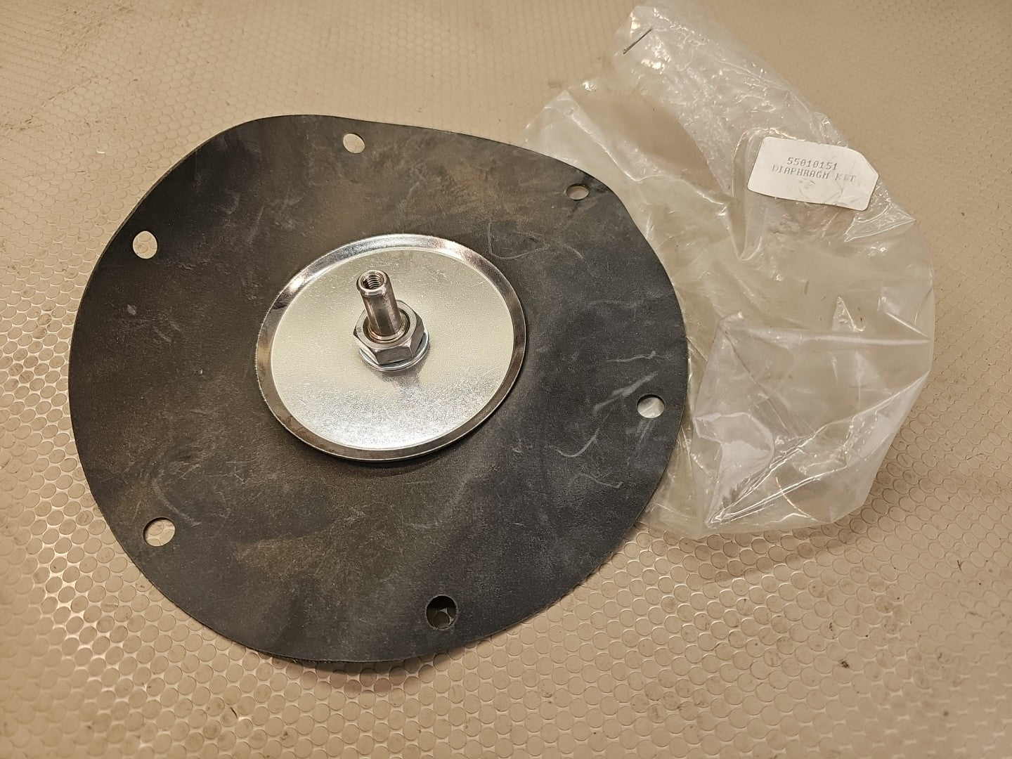 Replacement Diaphragm Kit for DV Series (55010151)
