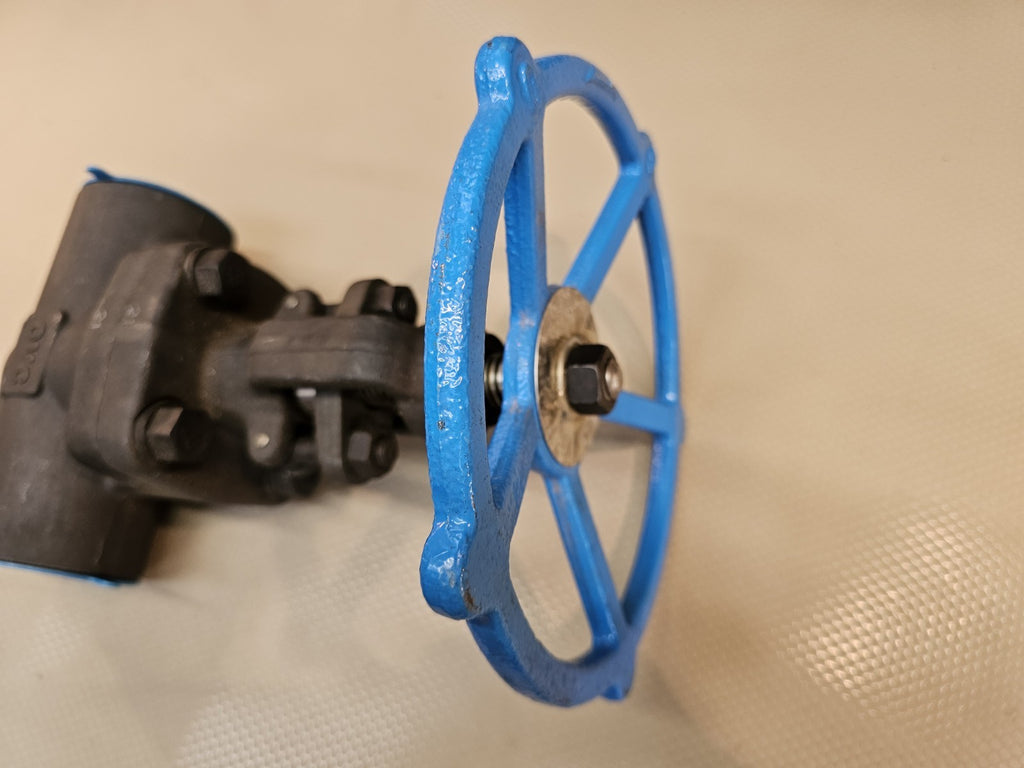 GLOBE VALVE 2 FRGD STEEL CLASS 800OHV GL800TE-2 2 Inch MSRP $145
