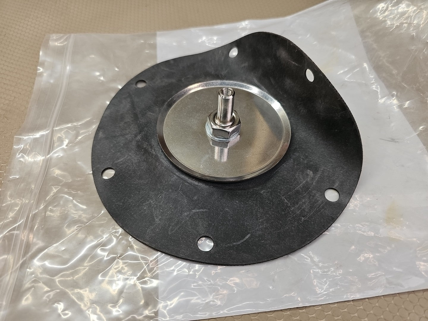 Replacement Diaphragm Kit for DV Series (55010148)