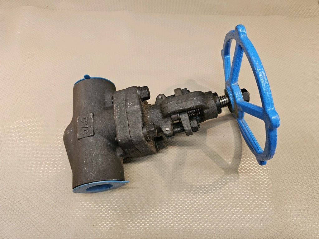 GLOBE VALVE 2 FRGD STEEL CLASS 800OHV GL800TE-2 2 Inch MSRP $145